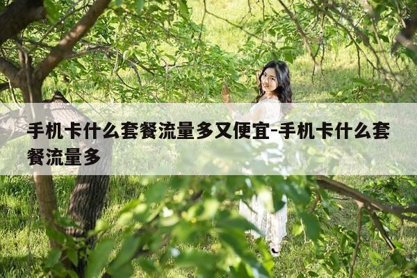 手机卡什么套餐流量多又便宜-手机卡什么套餐流量多-第1张图片-优惠活动网