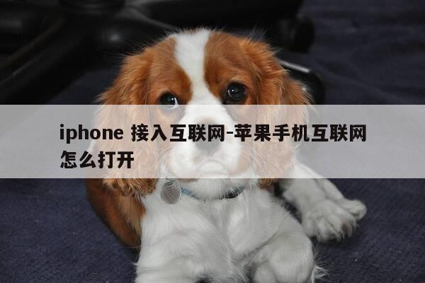 iphone 接入互联网-苹果手机互联网怎么打开-第1张图片-优惠活动网