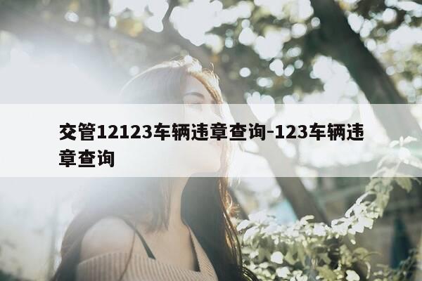 交管12123车辆违章查询-123车辆违章查询-第1张图片-优惠活动网