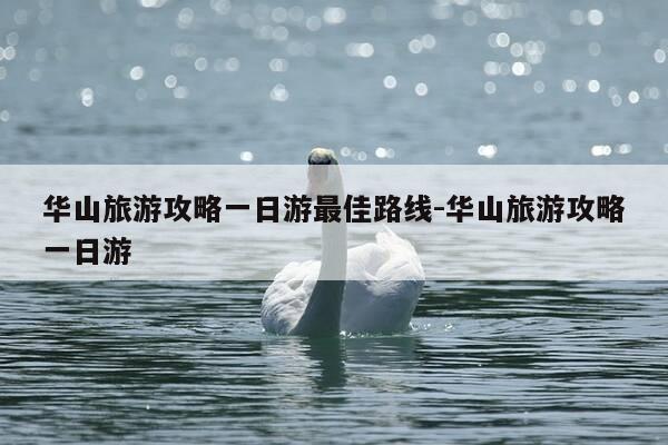 华山旅游攻略一日游最佳路线-华山旅游攻略一日游-第1张图片-优惠活动网