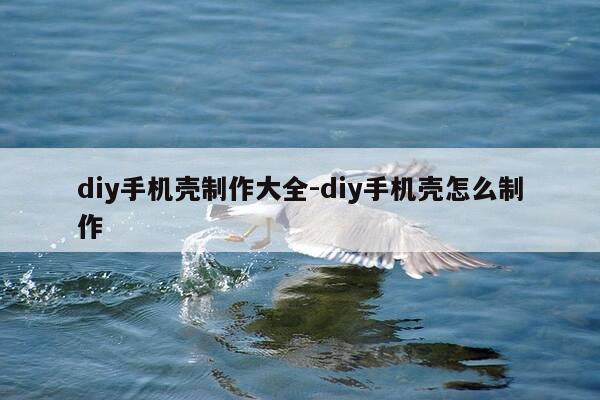 diy手机壳制作大全-diy手机壳怎么制作-第1张图片-优惠活动网