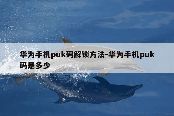 华为手机puk码解锁方法-华为手机puk码是多少-第1张图片-优惠活动网 华为手机puk码解锁方法-华为手机puk码是多少-第1张图片-优惠活动网