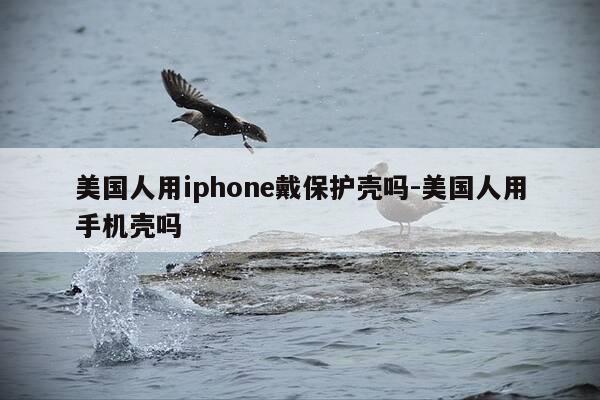 美国人用iphone戴保护壳吗-美国人用手机壳吗-第1张图片-优惠活动网