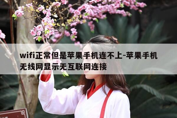 wifi正常但是苹果手机连不上-苹果手机无线网显示无互联网连接-第1张图片-优惠活动网