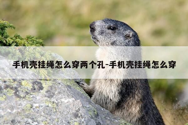 手机壳挂绳怎么穿两个孔-手机壳挂绳怎么穿-第1张图片-优惠活动网