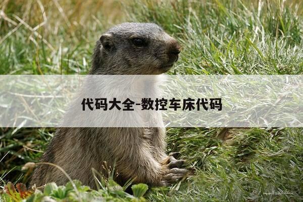 代码大全-数控车床代码-第1张图片-优惠活动网 代码大全-数控车床代码-第1张图片-优惠活动网