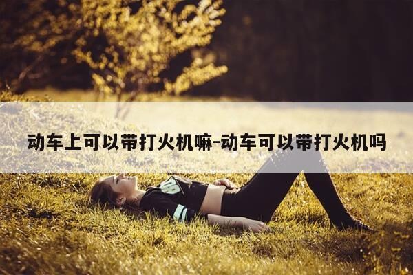 动车上可以带打火机嘛-动车可以带打火机吗-第1张图片-优惠活动网 动车上可以带打火机嘛-动车可以带打火机吗-第1张图片-优惠活动网