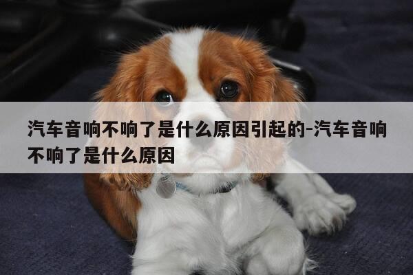 汽车音响不响了是什么原因引起的-汽车音响不响了是什么原因-第1张图片-优惠活动网 汽车音响不响了是什么原因引起的-汽车音响不响了是什么原因-第1张图片-优惠活动网