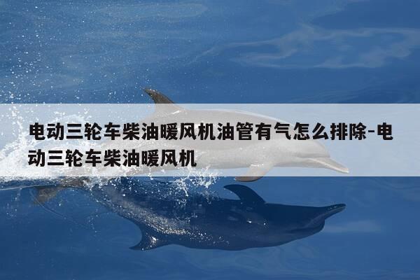 电动三轮车柴油暖风机油管有气怎么排除-电动三轮车柴油暖风机-第1张图片-优惠活动网