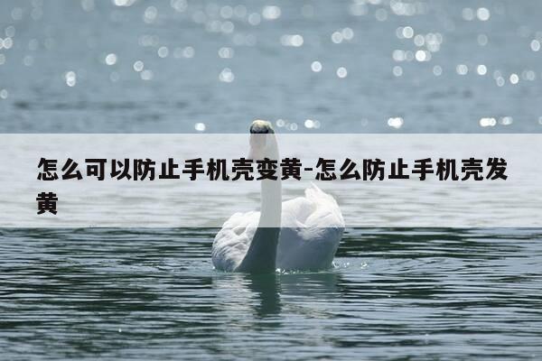 怎么可以防止手机壳变黄-怎么防止手机壳发黄-第1张图片-优惠活动网 怎么可以防止手机壳变黄-怎么防止手机壳发黄-第1张图片-优惠活动网