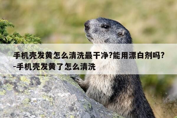 手机壳发黄怎么清洗最干净?能用漂白剂吗?-手机壳发黄了怎么清洗-第1张图片-优惠活动网