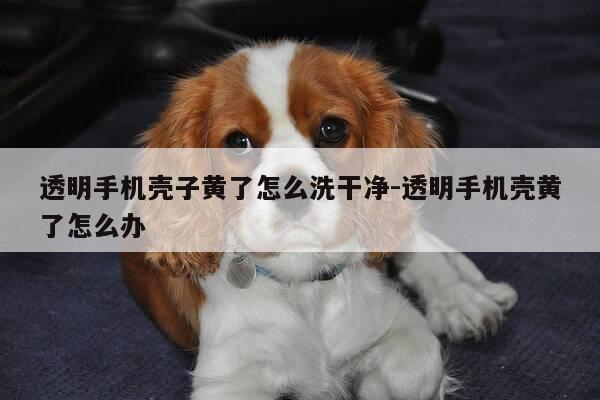 透明手机壳子黄了怎么洗干净-透明手机壳黄了怎么办-第1张图片-优惠活动网