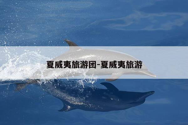 夏威夷旅游团-夏威夷旅游-第1张图片-优惠活动网