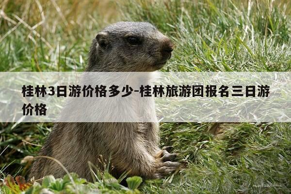 桂林3日游价格多少-桂林旅游团报名三日游价格-第1张图片-优惠活动网