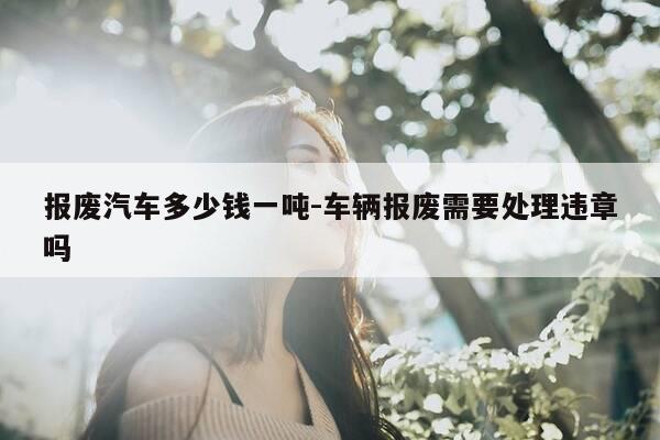 报废汽车多少钱一吨-车辆报废需要处理违章吗-第1张图片-优惠活动网