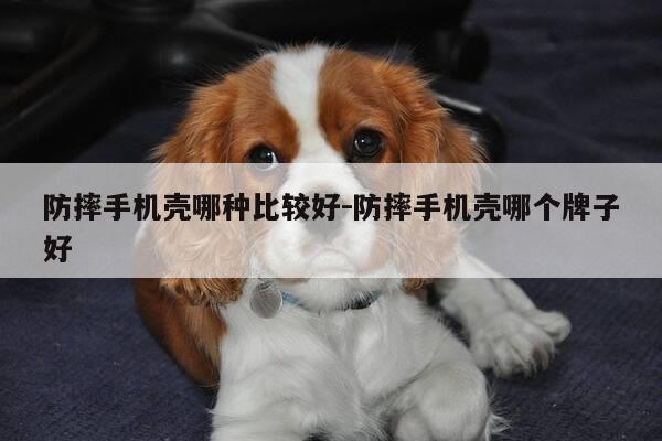 防摔手机壳哪种比较好-防摔手机壳哪个牌子好-第1张图片-优惠活动网