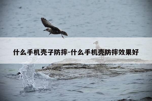 什么手机壳子防摔-什么手机壳防摔效果好-第1张图片-优惠活动网