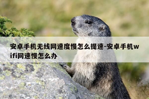 安卓手机无线网速度慢怎么提速-安卓手机wifi网速慢怎么办-第1张图片-优惠活动网