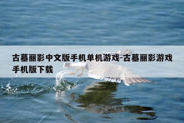 古墓丽影中文版手机单机游戏-古墓丽影游戏手机版下载-第1张图片-优惠活动网 古墓丽影中文版手机单机游戏-古墓丽影游戏手机版下载-第1张图片-优惠活动网