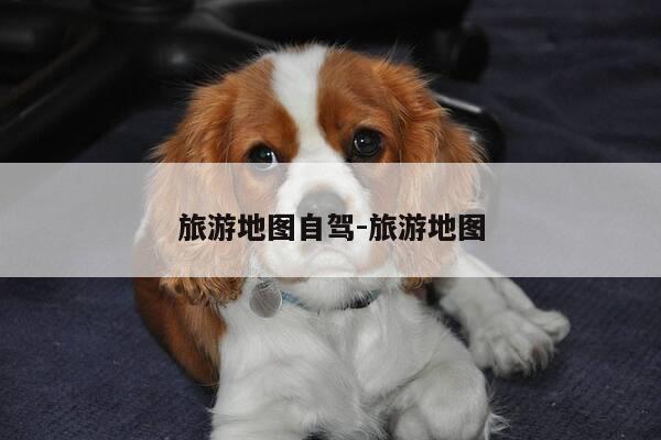 旅游地图自驾-旅游地图-第1张图片-优惠活动网
