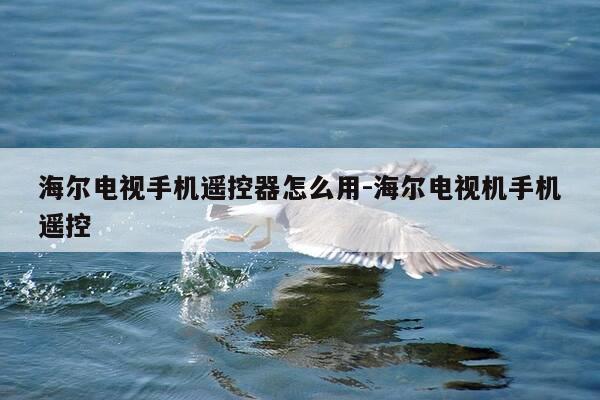 海尔电视手机遥控器怎么用-海尔电视机手机遥控-第1张图片-优惠活动网 海尔电视手机遥控器怎么用-海尔电视机手机遥控-第1张图片-优惠活动网