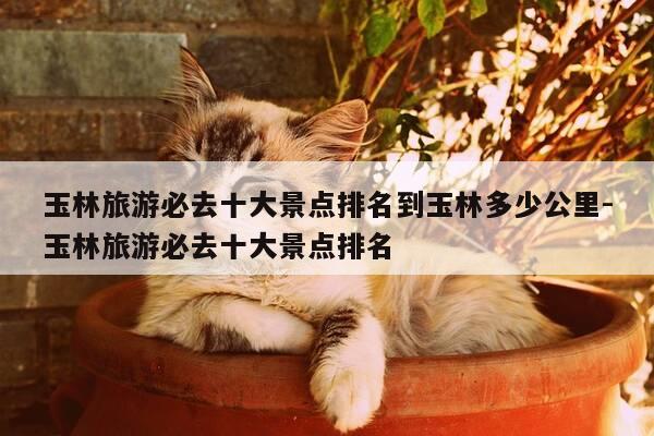 玉林旅游必去十大景点排名到玉林多少公里-玉林旅游必去十大景点排名-第1张图片-优惠活动网 玉林旅游必去十大景点排名到玉林多少公里-玉林旅游必去十大景点排名-第1张图片-优惠活动网