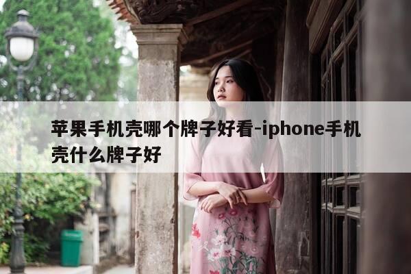 苹果手机壳哪个牌子好看-iphone手机壳什么牌子好-第1张图片-优惠活动网