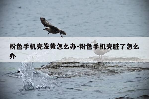 粉色手机壳发黄怎么办-粉色手机壳脏了怎么办-第1张图片-优惠活动网