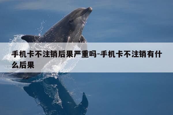 手机卡不注销后果严重吗-手机卡不注销有什么后果-第1张图片-优惠活动网 手机卡不注销后果严重吗-手机卡不注销有什么后果-第1张图片-优惠活动网