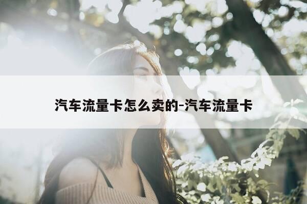 汽车流量卡怎么卖的-汽车流量卡-第1张图片-优惠活动网