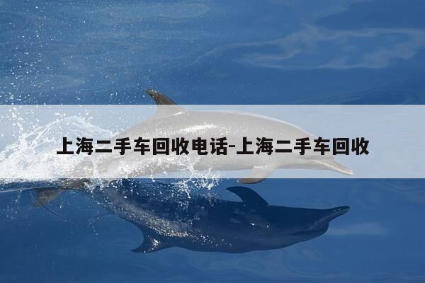 上海二手车回收电话-上海二手车回收-第1张图片-优惠活动网 上海二手车回收电话-上海二手车回收-第1张图片-优惠活动网
