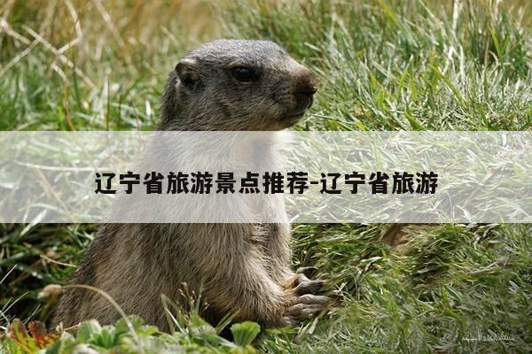 辽宁省旅游景点推荐-辽宁省旅游-第1张图片-优惠活动网