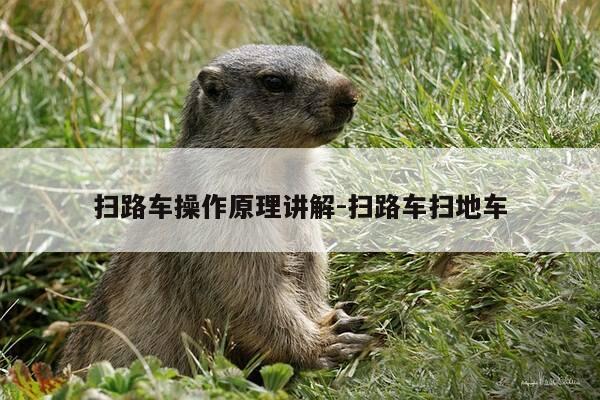 扫路车操作原理讲解-扫路车扫地车-第1张图片-优惠活动网