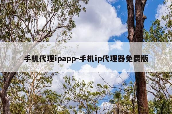 手机代理ipapp-手机ip代理器免费版-第1张图片-优惠活动网