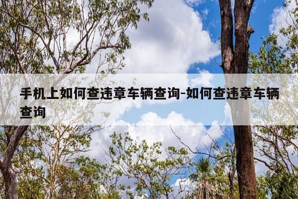 手机上如何查违章车辆查询-如何查违章车辆查询-第1张图片-优惠活动网
