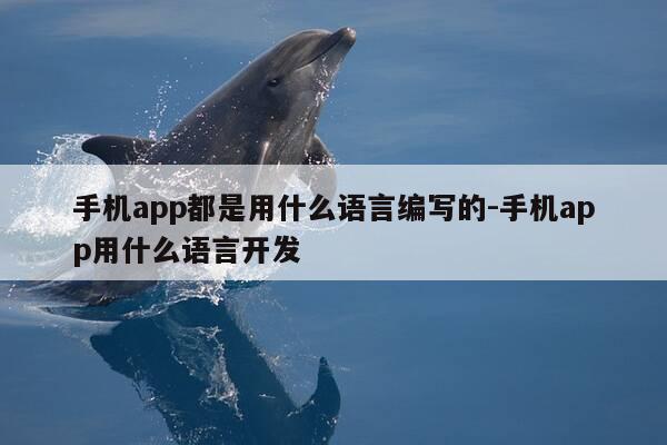 手机app都是用什么语言编写的-手机app用什么语言开发-第1张图片-优惠活动网