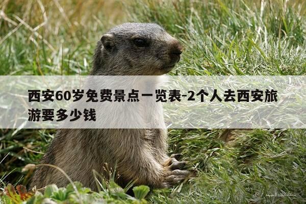 西安60岁免费景点一览表-2个人去西安旅游要多少钱-第1张图片-优惠活动网