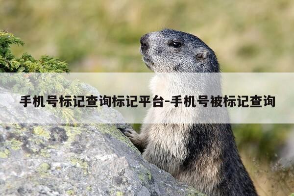 手机号标记查询标记平台-手机号被标记查询-第1张图片-优惠活动网 手机号标记查询标记平台-手机号被标记查询-第1张图片-优惠活动网