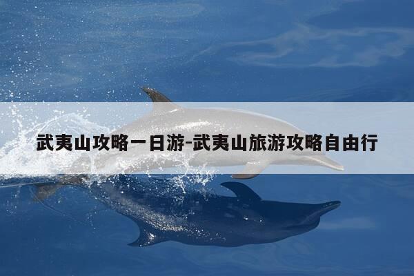 武夷山攻略一日游-武夷山旅游攻略自由行-第1张图片-优惠活动网