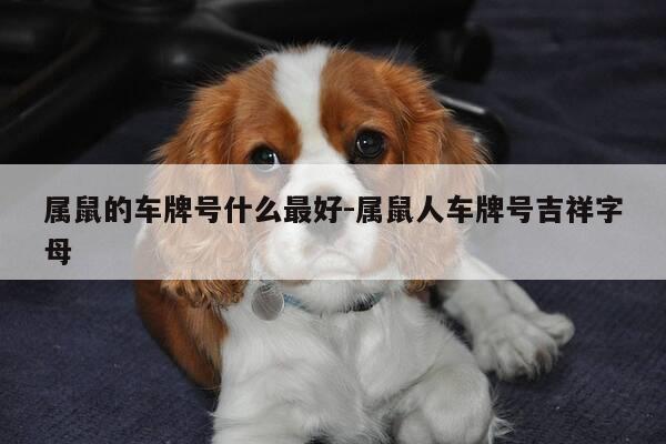 属鼠的车牌号什么最好-属鼠人车牌号吉祥字母-第1张图片-优惠活动网