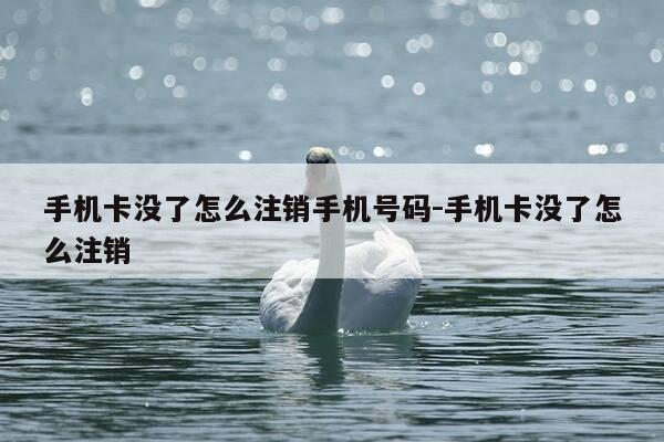 手机卡没了怎么注销手机号码-手机卡没了怎么注销-第1张图片-优惠活动网