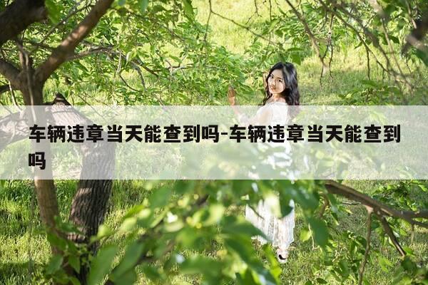 车辆违章当天能查到吗-车辆违章当天能查到吗-第1张图片-优惠活动网 车辆违章当天能查到吗-车辆违章当天能查到吗-第1张图片-优惠活动网