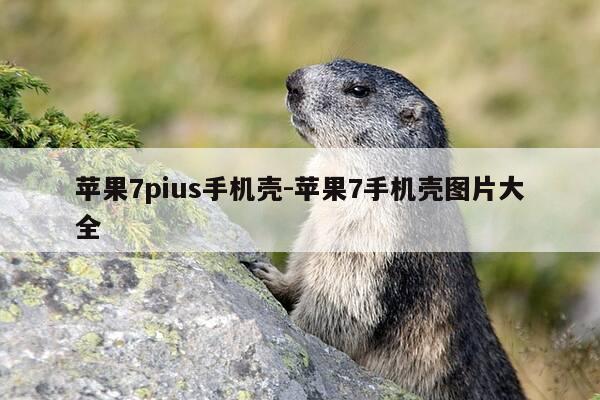 苹果7pius手机壳-苹果7手机壳图片大全-第1张图片-优惠活动网 苹果7pius手机壳-苹果7手机壳图片大全-第1张图片-优惠活动网