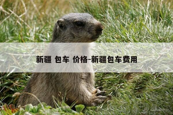 新疆 包车 价格-新疆包车费用-第1张图片-优惠活动网