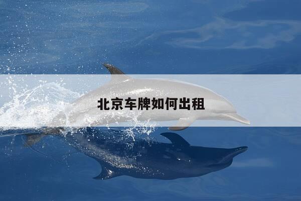 北京车牌如何出租-第1张图片-优惠活动网 北京车牌如何出租-第1张图片-优惠活动网