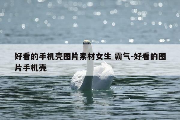 好看的手机壳图片素材女生 霸气-好看的图片手机壳-第1张图片-优惠活动网 好看的手机壳图片素材女生 霸气-好看的图片手机壳-第1张图片-优惠活动网