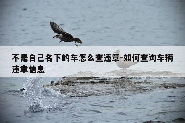 不是自己名下的车怎么查违章-如何查询车辆违章信息-第1张图片-优惠活动网