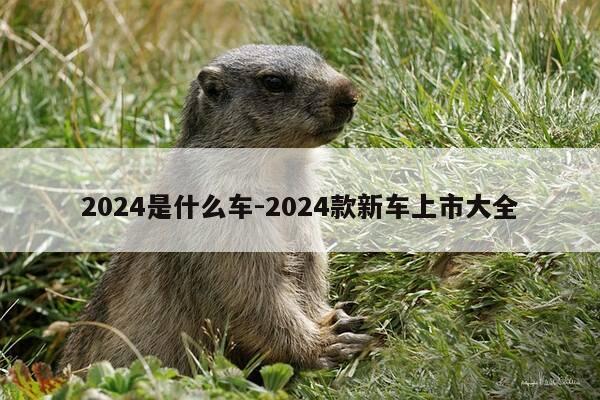 2024是什么车-2024款新车上市大全-第1张图片-优惠活动网 2024是什么车-2024款新车上市大全-第1张图片-优惠活动网
