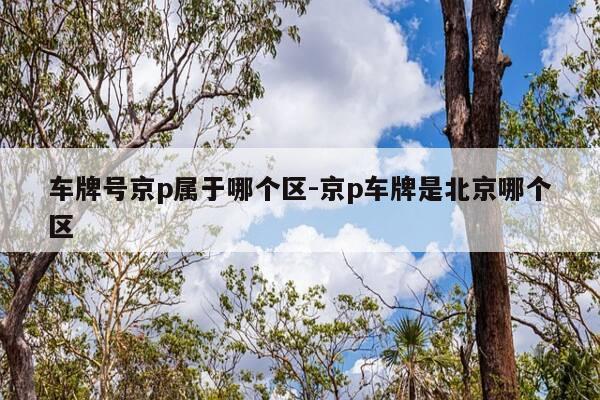 车牌号京p属于哪个区-京p车牌是北京哪个区-第1张图片-优惠活动网 车牌号京p属于哪个区-京p车牌是北京哪个区-第1张图片-优惠活动网