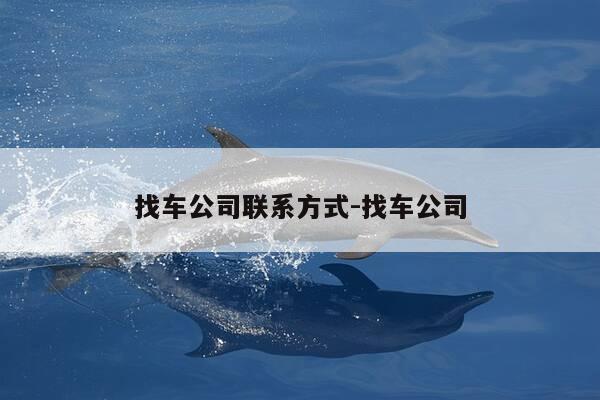 找车公司联系方式-找车公司-第1张图片-优惠活动网 找车公司联系方式-找车公司-第1张图片-优惠活动网